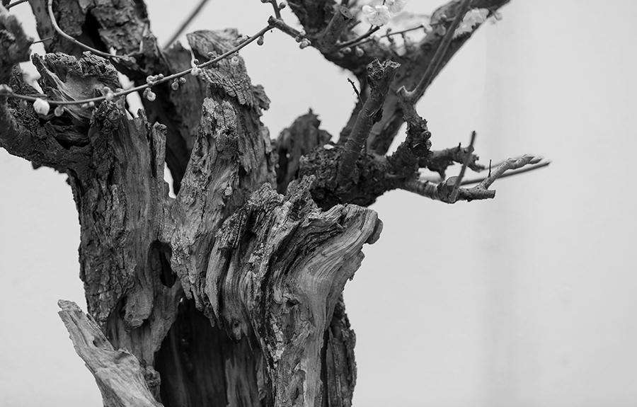 英国政府废弃学校建设计划1,000个建筑师受影响“星空官网登录”(图3) 星空官网登录