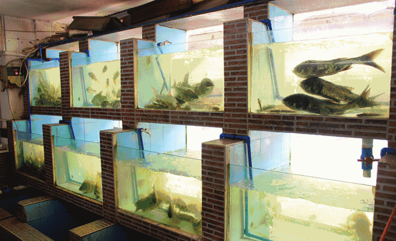 Serie事务所赢得无锡锡山市民中心设计竞赛:星空官网登录(图3) xingkong体育官网登录