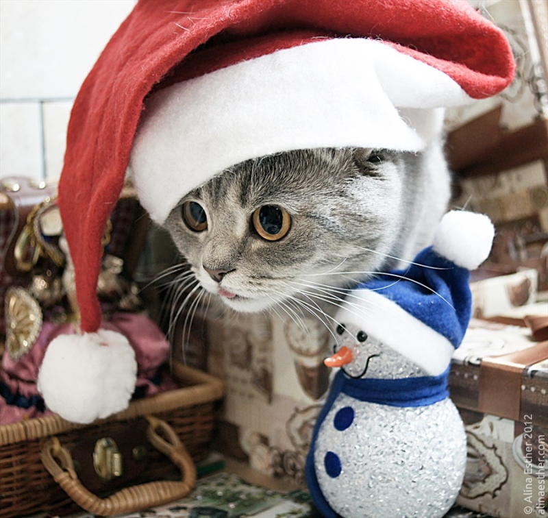 【星空体育官网】安徽:宣城推进绿化景观改造(图3) xingkong体育官网登录