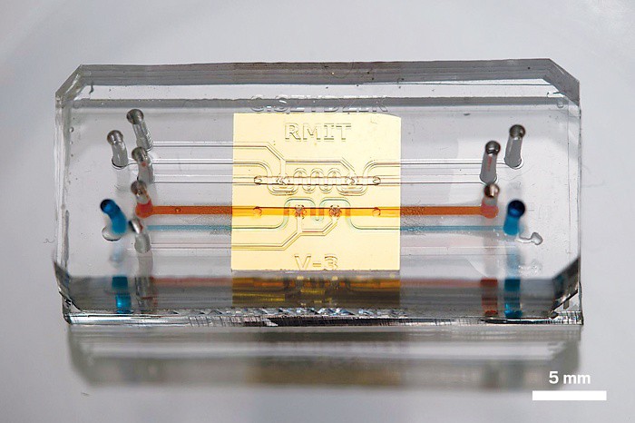 xingkong.com-为实现新时代党的历史使命不懈奋斗_时事政治_中公教育网(图4) xingkong体育官网登录