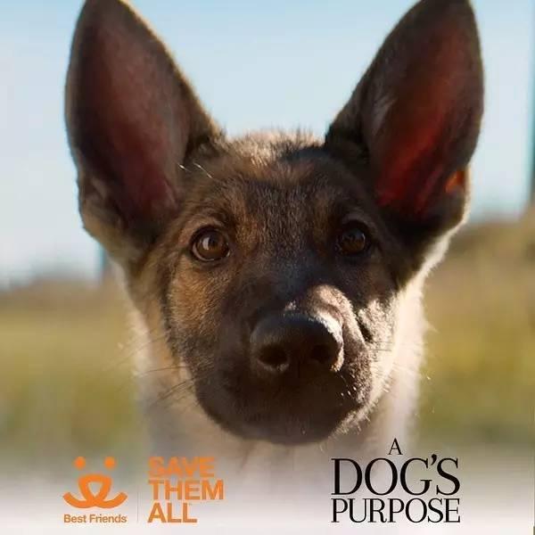 【xingkong.com】湖北武汉首个生态陵园将竣工(图4) 星空官网登录