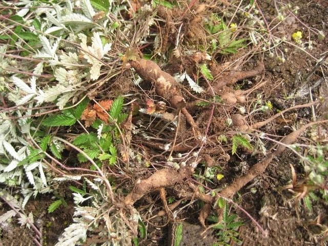 xingkong体育官网登录