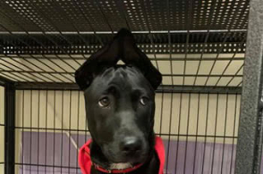 xingkong体育官网登录