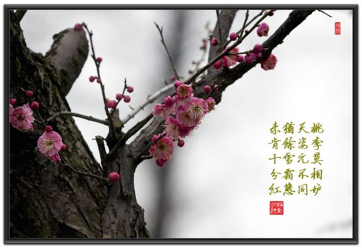 贴瓷砖泡水多长时间才能用?‘星空体育官网’(图3) xingkong体育官网登录