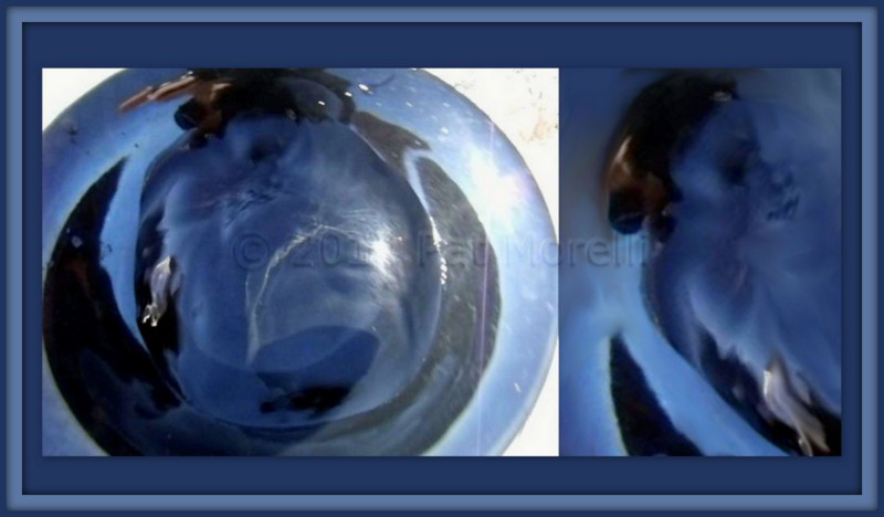 云南黄脊竹蝗发生面积超13万亩 仍处可控范围‘xingkong.com’(图2) 星空官网登录