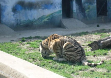 ‘星空官网登录’专家详解民法典性骚扰条款:学校等单位有义务防范(图4) 星空体育官网