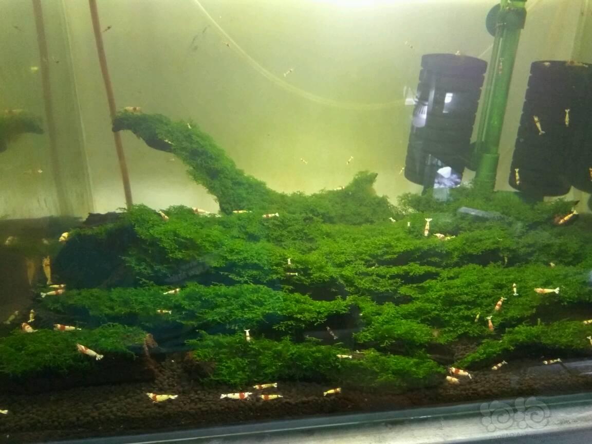 领导干部应靠什么扛起政治责任_时事政治_中公教育网-xingkong.com(图2) 星空官网登录