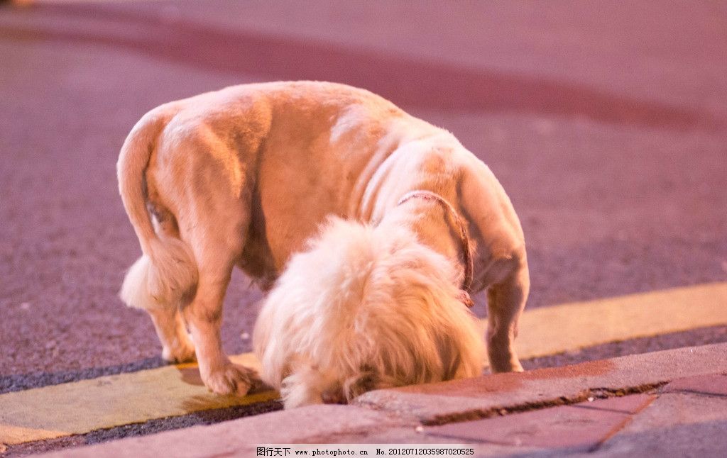 星空官网登录:北大学姐: 文综各科要能这样学, 轻松考过230!(图4) 星空官网登录:北大学姐: 文综各科要能这样学, 轻松考过230!(图4)