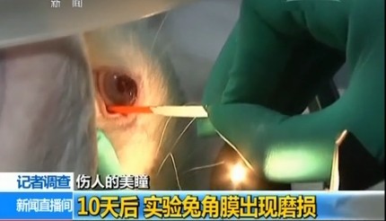 xingkong体育官网登录:地方政府给彩礼限价要警惕权力的任性而为_时事政治_中公教育网(图2) xingkong体育官网登录