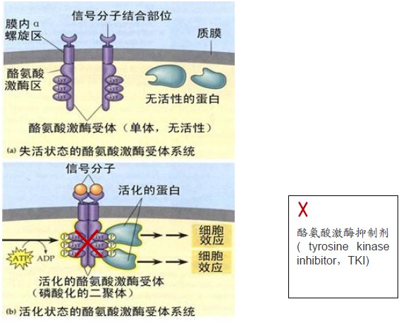 星空体育官网_痰液检测新冠病毒准确率更高(图2) 星空体育官网