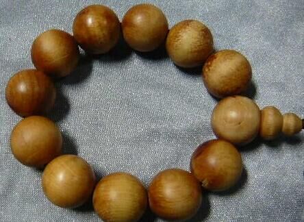 xingkong体育官网登录