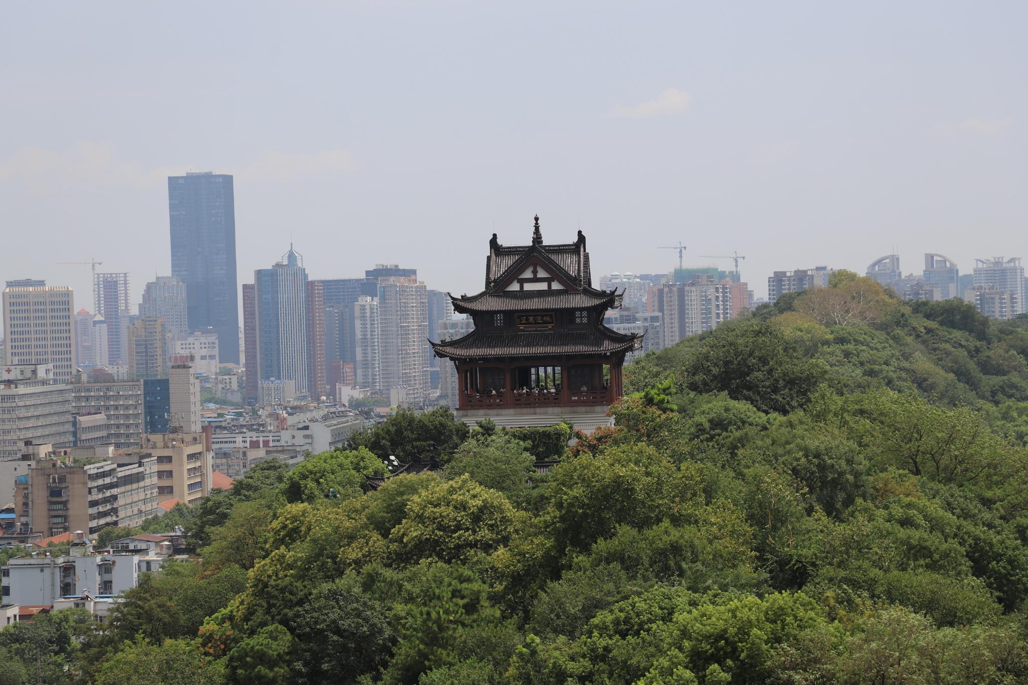 星空体育官网_「飞哥周记」说说网络思政教育的那些事(图2) 星空体育官网