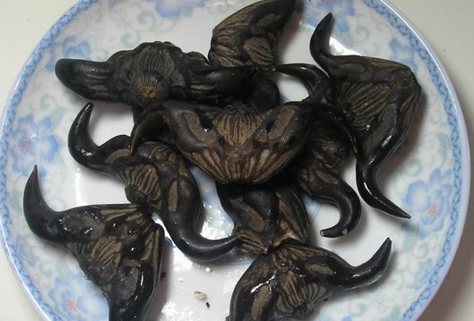 星空体育官网_「飞哥周记」说说网络思政教育的那些事(图3) 星空体育官网