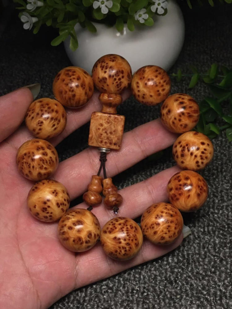 “星空体育官网”
美术生将在未来10年拿高薪 月薪平均2w+ 你还在说学画画没用?(图1) “星空体育官网”
美术生将在未来10年拿高薪 月薪平均2w+ 你还在说学画画没用?(图1)