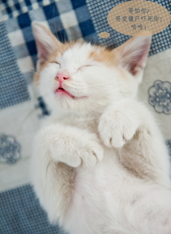 xingkong体育官网登录