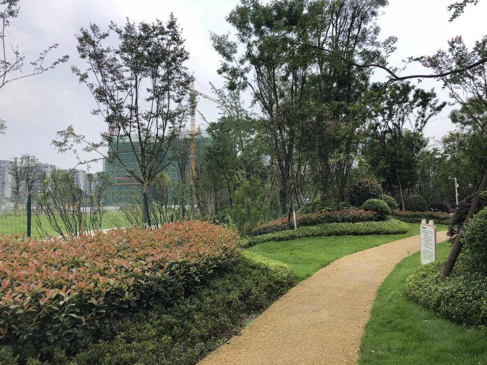 xingkong体育官网登录