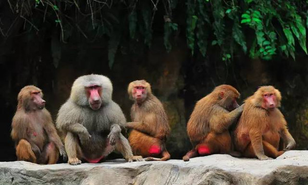 xingkong体育官网登录