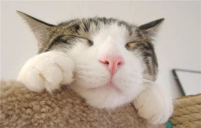 xingkong体育官网登录