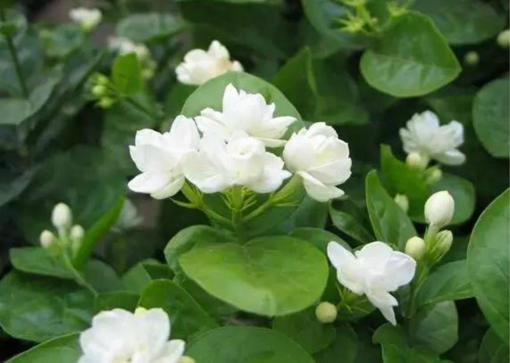 xingkong体育官网登录|日欧高层同意7月达成经济伙伴关系协定框架协议(图3)