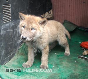 xingkong体育官网登录