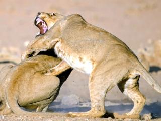 xingkong体育官网登录