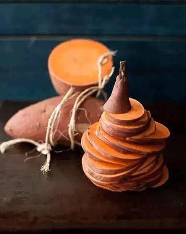 xingkong体育官网登录