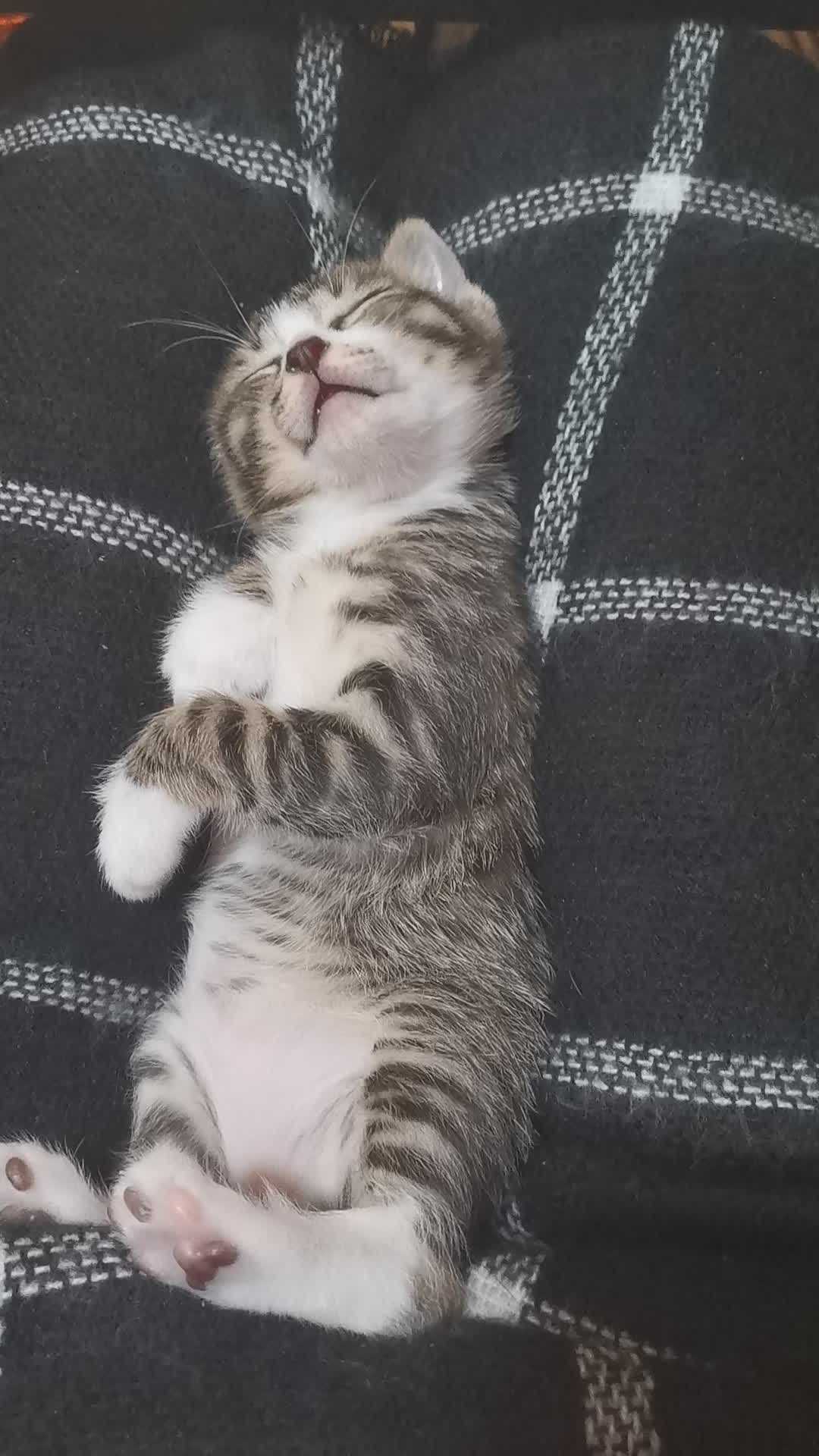 xingkong体育官网登录