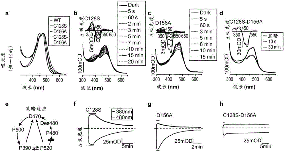 xingkong体育官网登录