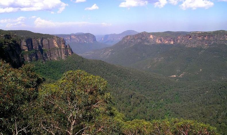 xingkong体育官网登录
