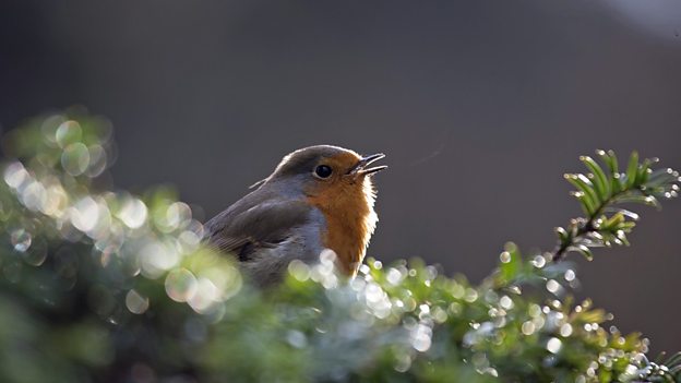 xingkong体育官网登录