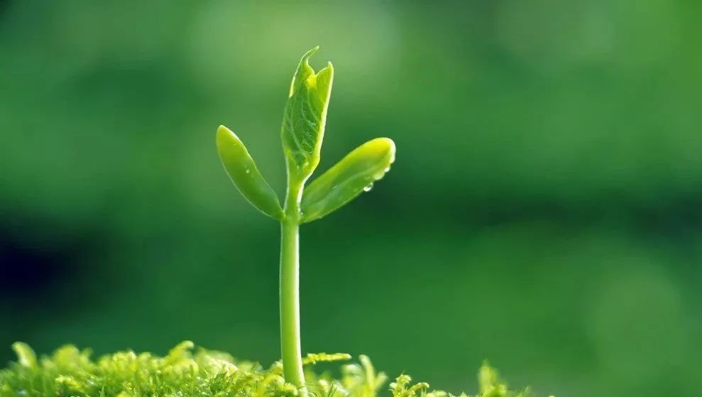 股基仓位近九成  睿远基金“恐高”？【星空官网登录】(图1)