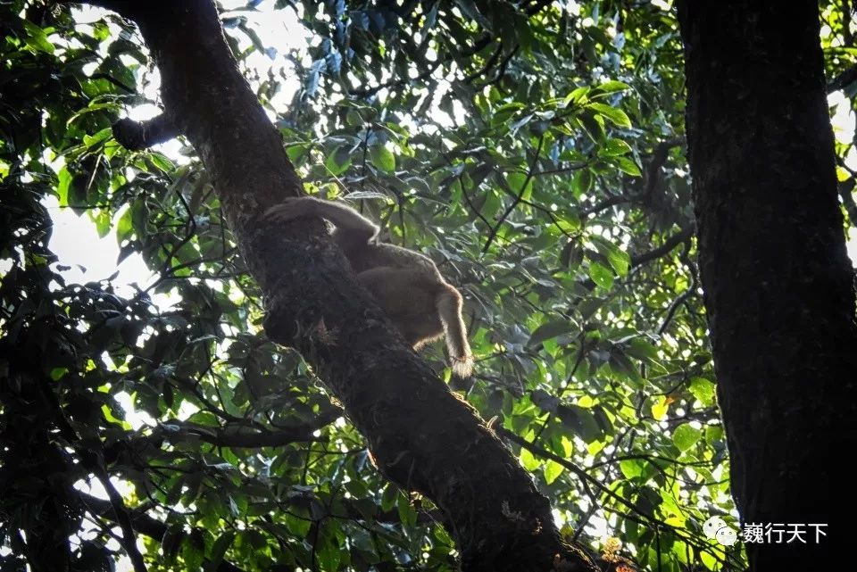 xingkong体育官网登录