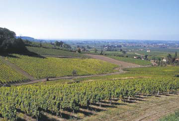 淋浴房推荐之三款超高性价比产品：xingkong.com(图2)